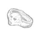 Lead Ring  icon