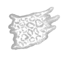 Leopard-Print Fabric   icon