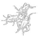 Lively Crickets icon