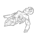 Larry’s Remains icon