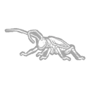 Jewel Beetle icon