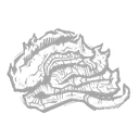 Molted Skin icon