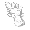 Footprint Cast icon