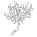Red Spider Lily icon