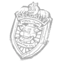 Security Guard’s Badge icon