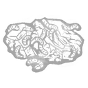 Rotten Swine icon
