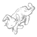 Rabbit Remains icon