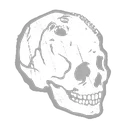 Searcher's Skull icon