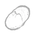 Cracked Turtle Egg icon
