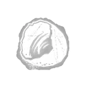 Half Eggshell icon