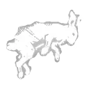 Dead Rabbit icon