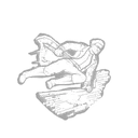 Superior Anatomy icon