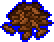 Carrot seed icon