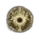 Leda's Rune