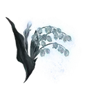 Ghost Glovewort [6]