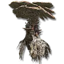 Mushroom Crown