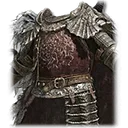 Veteran's Armor