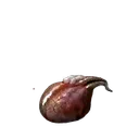 Scorpion Liver