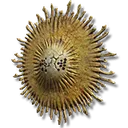 Radiant Gold Mask