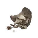 Human Bone Shard