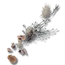 Mushroom Arms