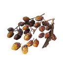Sweet Raisin