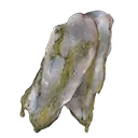 Strip of White Flesh