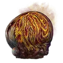 Swollen Grape