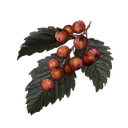 Rowa Fruit