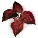Arteria Leaf