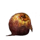 Shabriri Grape