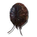 Ant's Skull Plate