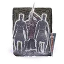 Raya Lucaria Soldier Ashes