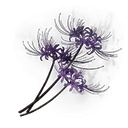 Grave Violet