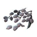 Frozen Raisin