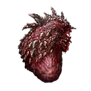 Dragon Heart