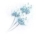 Ghostflame Bloom