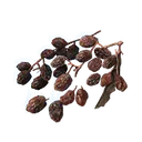 Rowa Raisin
