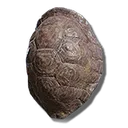 Great Turtle Shell