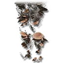 Mushroom Legs