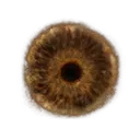 Hero's Rune [5]