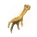 Gold-Pickled Fowl Foot