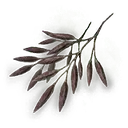 Spirit Raisin