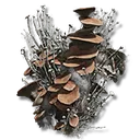 Mushroom Body