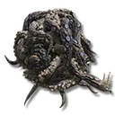 Octopus Head