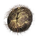 Iris of Grace