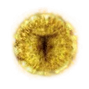 Marika's Rune