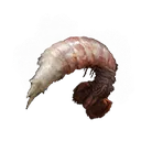 Boiled Prawn