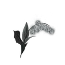 Grave Glovewort [4]