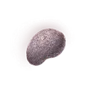 Fingerprint Nostrum
